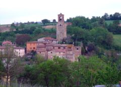 #Ivolulivo cresce: viaggio all’interno del laboratorio di colture in vitro del DSA3 di Perugia