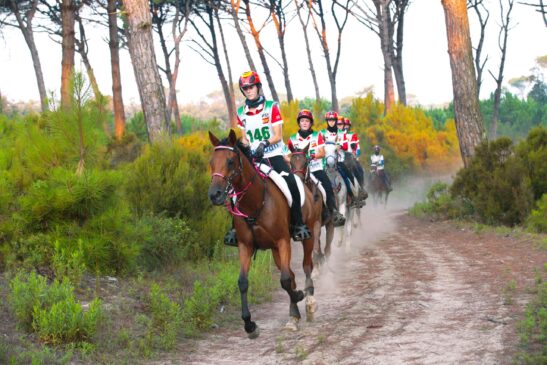 longines fei endurance world championship