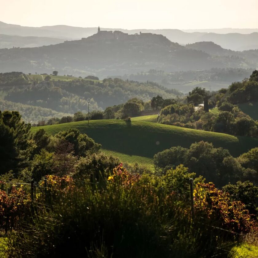 olio nuovo todi