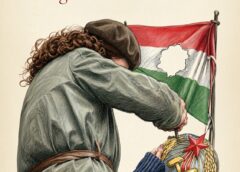 Vitoni di ricambio per rubinetti: compatibilità, misure e manutenzione della rubinetteria