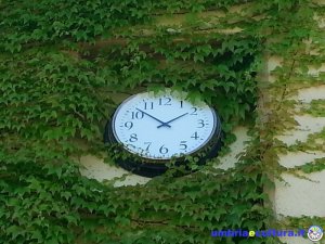 orologio giardino