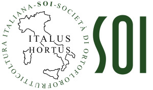 Logo SOI nuovo, 2013