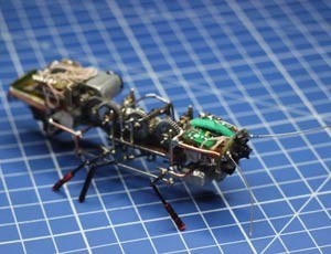 scarafaggio robot