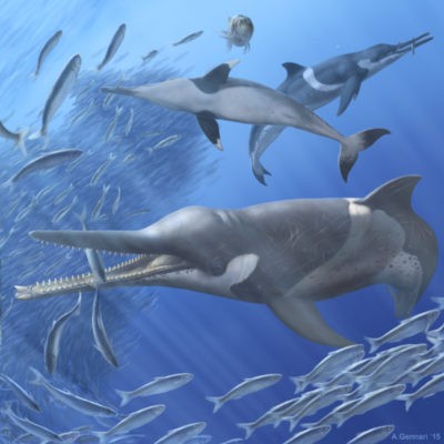 zifide antichi ecosistemi oceanici