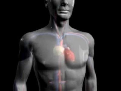 malattie cardiache cuore scompenso cardiaco