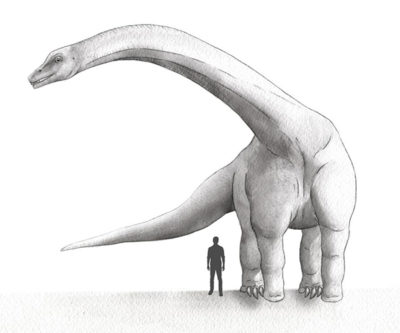 titanosauro