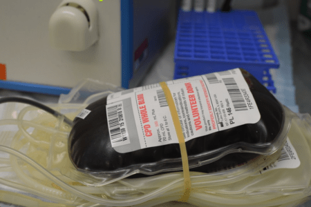 dona il sangue calo donazioni sangue avis
