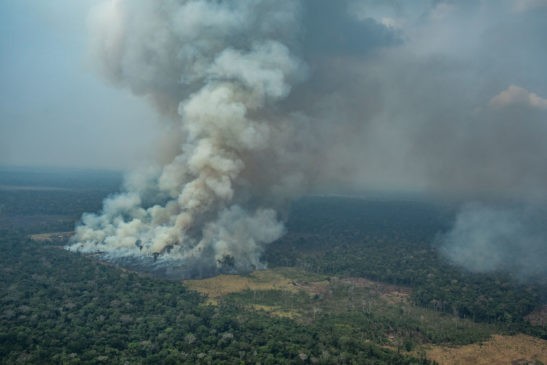 amazzonia under fire