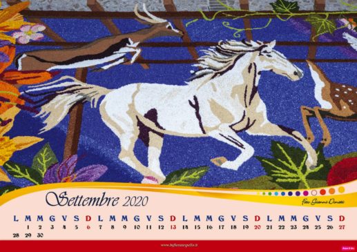 les carrés fleuris calendario maestri del petalo 2020