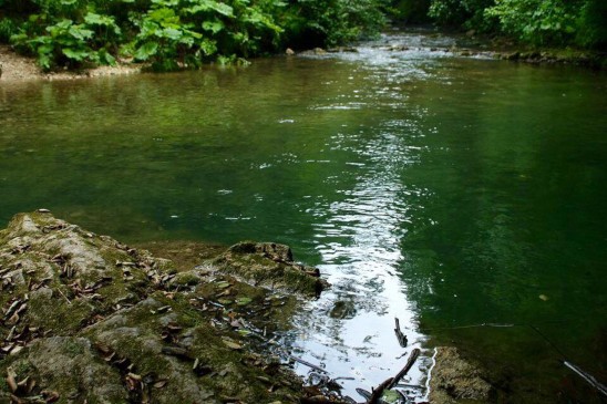 fiume farfa giornata ecologica