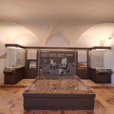 museo archeologico di arcevia